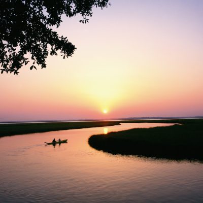 5 Fun Things to Do in Amelia Island