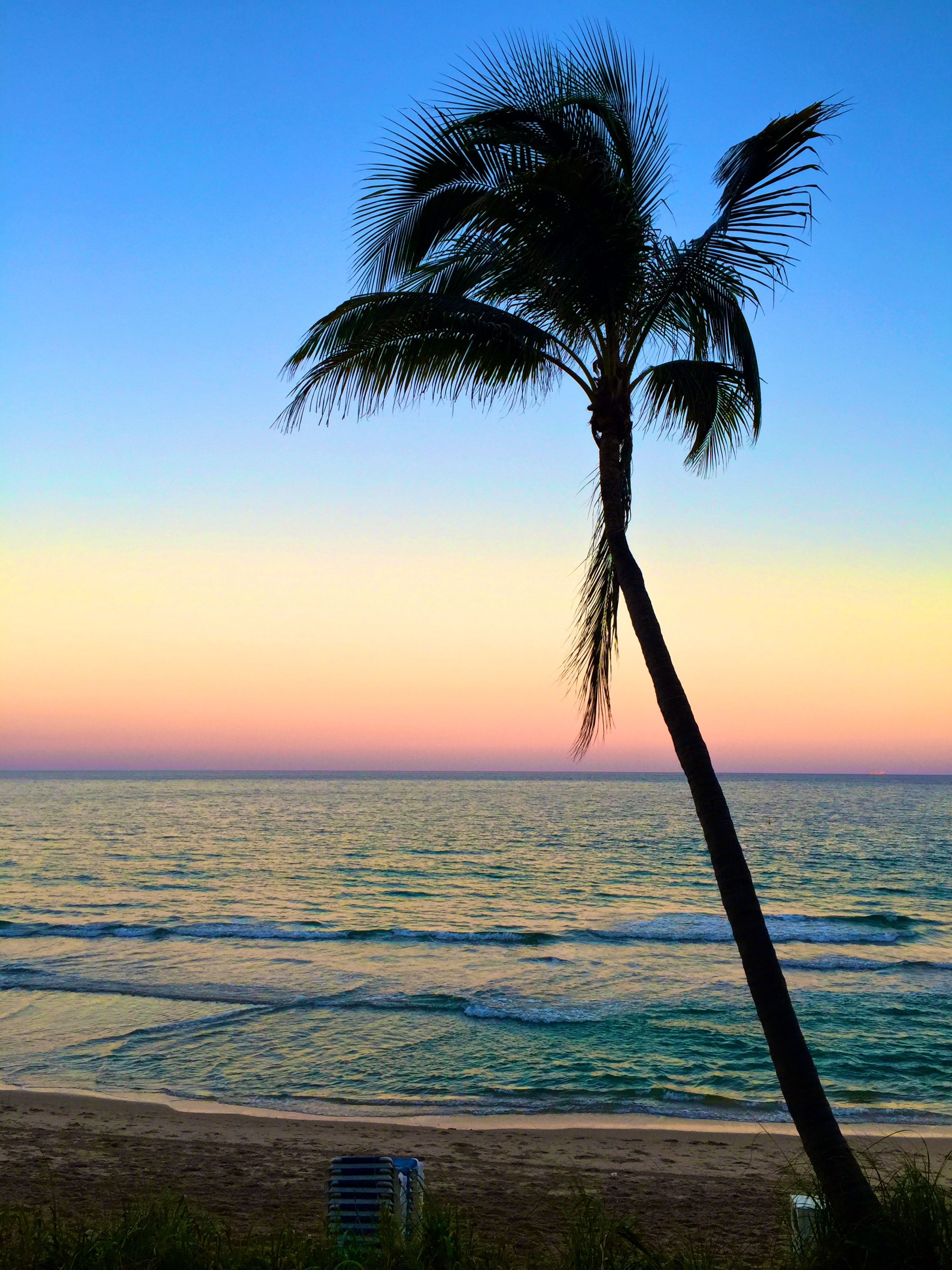 kara-franker-sunset-pelican-grand-fort-lauderdale