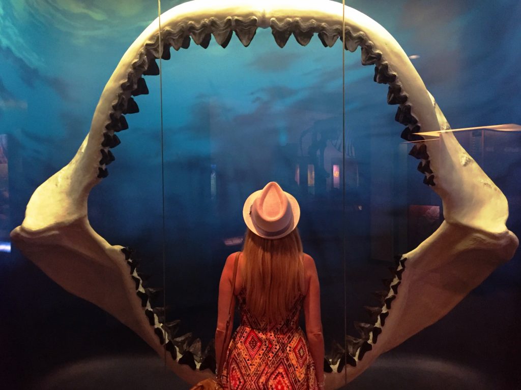 Giant Shark Mouth in Bradenton