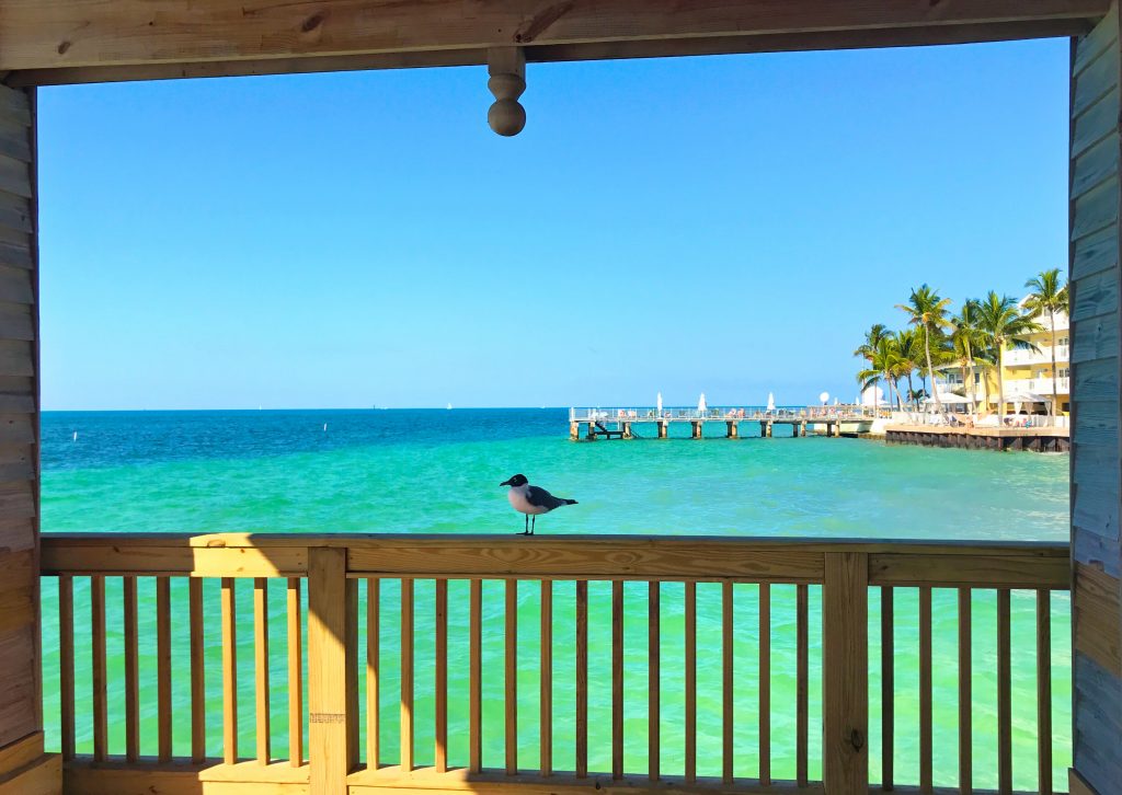 Where to Stay Casa Marina Resort in Key West