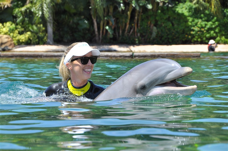 Swim with the Dolphins in Orlando, Florida